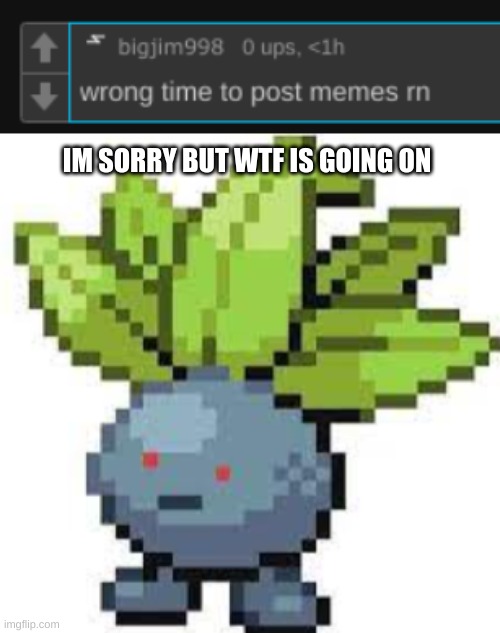 i have no idea whats going on | IM SORRY BUT WTF IS GOING ON | image tagged in oddish straight face | made w/ Imgflip meme maker