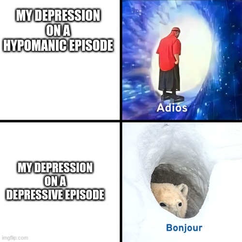 Adios Bonjour | MY DEPRESSION ON A HYPOMANIC EPISODE; MY DEPRESSION ON A DEPRESSIVE EPISODE | image tagged in adios bonjour | made w/ Imgflip meme maker