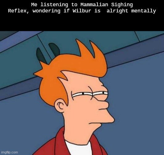 him and James Marriot, their songs make me genuinely concerned for them | Me listening to Mammalian Sighing Reflex, wondering if Wilbur is  alright mentally | image tagged in memes,futurama fry | made w/ Imgflip meme maker