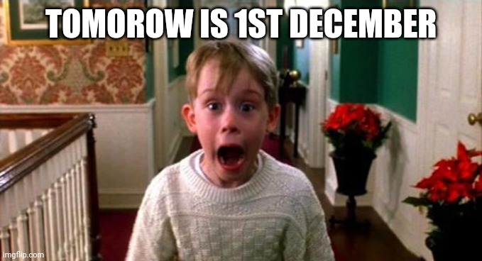 Kevin Home Alone | TOMOROW IS 1ST DECEMBER | image tagged in kevin home alone | made w/ Imgflip meme maker