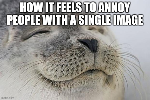 Satisfied Seal Meme | HOW IT FEELS TO ANNOY PEOPLE WITH A SINGLE IMAGE | image tagged in memes,satisfied seal | made w/ Imgflip meme maker