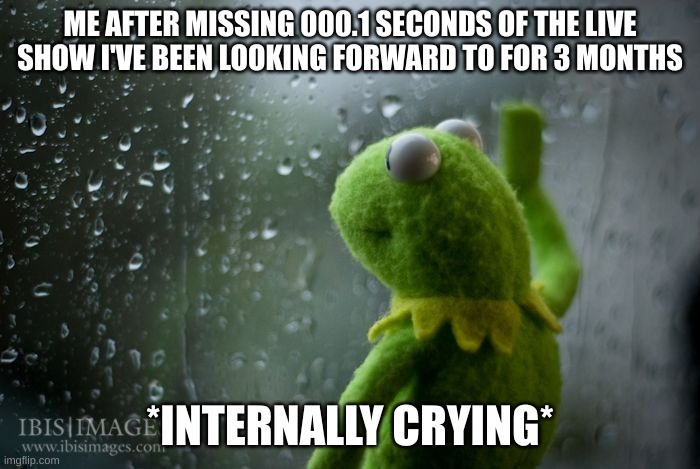 The most upsetting thing in the universe | ME AFTER MISSING 000.1 SECONDS OF THE LIVE SHOW I'VE BEEN LOOKING FORWARD TO FOR 3 MONTHS; *INTERNALLY CRYING* | image tagged in kermit window,sad,so true memes | made w/ Imgflip meme maker