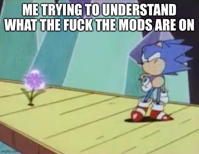 Suspicious sonic looking at flower | ME TRYING TO UNDERSTAND WHAT THE FUCK THE MODS ARE ON | image tagged in suspicious sonic looking at flower | made w/ Imgflip meme maker