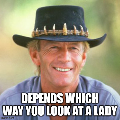australianguy | DEPENDS WHICH WAY YOU LOOK AT A LADY | image tagged in australianguy | made w/ Imgflip meme maker