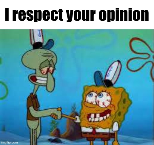 Spongebob and squidward Shaking hands | I respect your opinion | image tagged in spongebob and squidward shaking hands | made w/ Imgflip meme maker