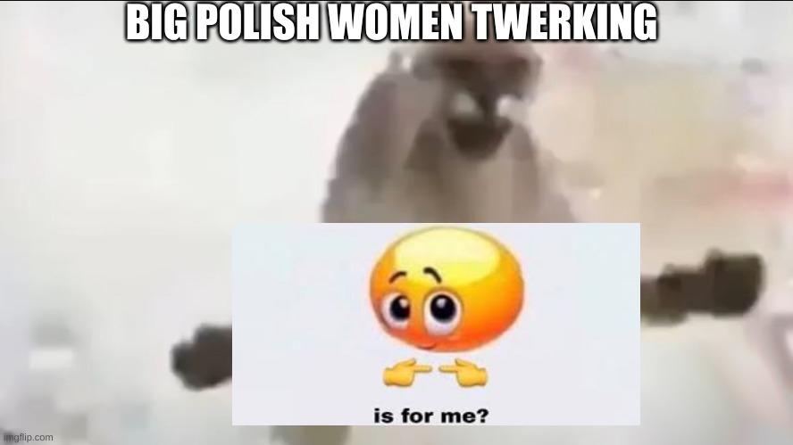 Angy floppa | BIG POLISH WOMEN TWERKING | image tagged in angy floppa | made w/ Imgflip meme maker