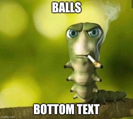 Sarcastic bug | BALLS; BOTTOM TEXT | image tagged in sarcastic bug | made w/ Imgflip meme maker