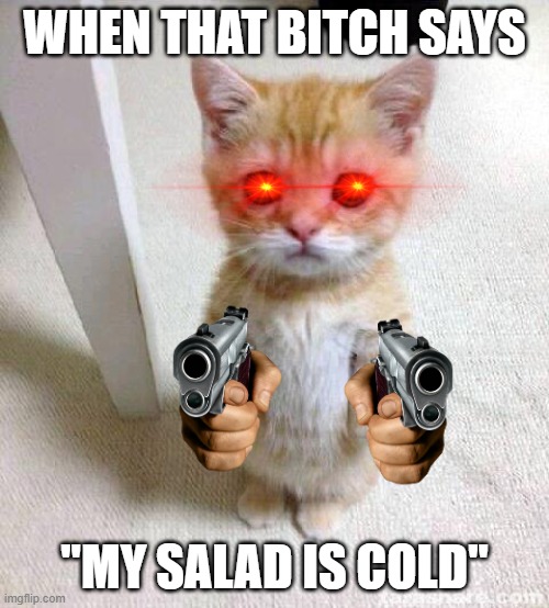 I am angey | WHEN THAT BITCH SAYS; "MY SALAD IS COLD" | image tagged in memes,cute cat | made w/ Imgflip meme maker