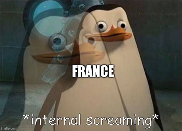 Private Internal Screaming | FRANCE | image tagged in private internal screaming | made w/ Imgflip meme maker