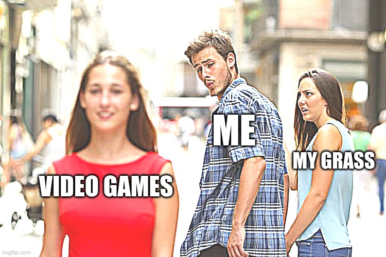 me when video games | ME; MY GRASS; VIDEO GAMES | image tagged in memes,distracted boyfriend | made w/ Imgflip meme maker