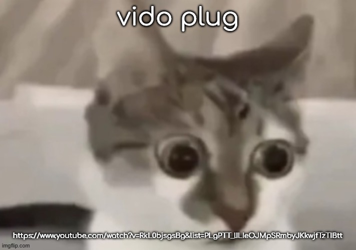 bombastic side eye cat | vido plug; https://www.youtube.com/watch?v=RkL0bjsgsBg&list=PLgPTT_lILIeOJMpSRmbyJKkwjfTzTIBtt | image tagged in bombastic side eye cat | made w/ Imgflip meme maker