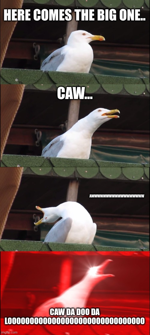 Inhaling Seagull | HERE COMES THE BIG ONE.. CAW... AWWWWWWWWWWWWWWWWWW; CAW DA DOO DA LOOOOOOOOOOOOOOOOOOOOOOOOOOOOOOO | image tagged in memes,inhaling seagull | made w/ Imgflip meme maker