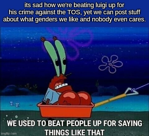 Mr. Krabs We used to beat people up for saying things like that | its sad how we're beating luigi up for his crime against the TOS, yet we can post stuff about what genders we like and nobody even cares. | image tagged in mr krabs we used to beat people up for saying things like that | made w/ Imgflip meme maker