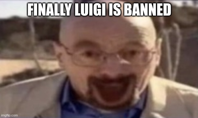 waltuh happy | FINALLY LUIGI IS BANNED | image tagged in waltuh happy | made w/ Imgflip meme maker