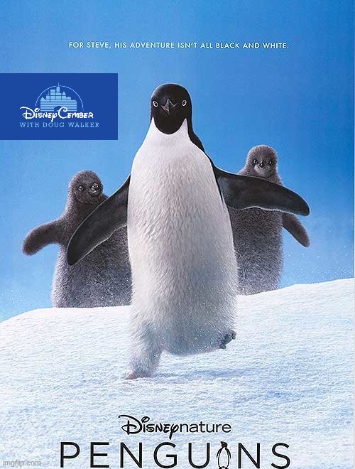 disneycember: disney nature's penguins | image tagged in disneycember,disney nature,penguins,nostalgia critic | made w/ Imgflip meme maker