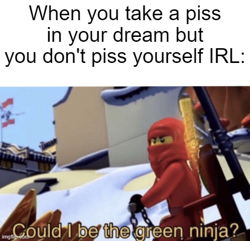 Could I Be The Green Ninja? | When you take a piss in your dream but you don't piss yourself IRL: | image tagged in could i be the green ninja,memes | made w/ Imgflip meme maker