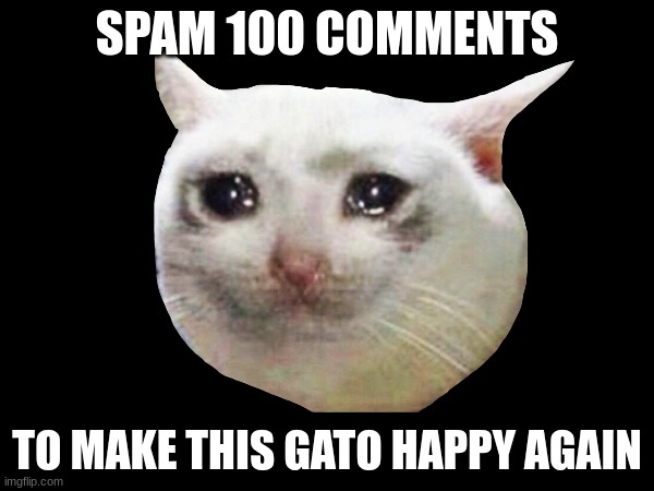 SPAM 100 COMMENTS; TO MAKE THIS GATO HAPPY AGAIN | made w/ Imgflip meme maker