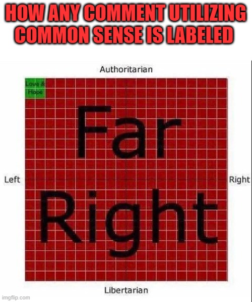 The Modern Far Right Label | HOW ANY COMMENT UTILIZING COMMON SENSE IS LABELED | image tagged in far right,racist,white supremacists,bigot,fascist,maga | made w/ Imgflip meme maker