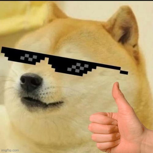 Sunglass Doge | image tagged in sunglass doge | made w/ Imgflip meme maker