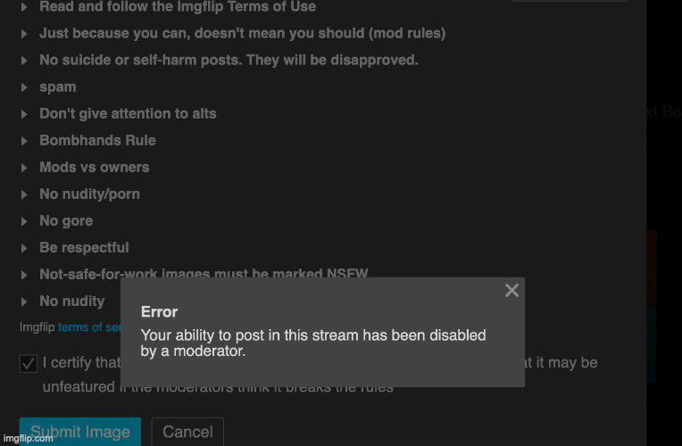 ight posting here. banned from MSMG | made w/ Imgflip meme maker