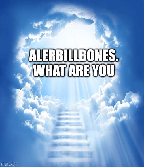 Heaven | ALERBILLBONES. WHAT ARE YOU | image tagged in heaven | made w/ Imgflip meme maker