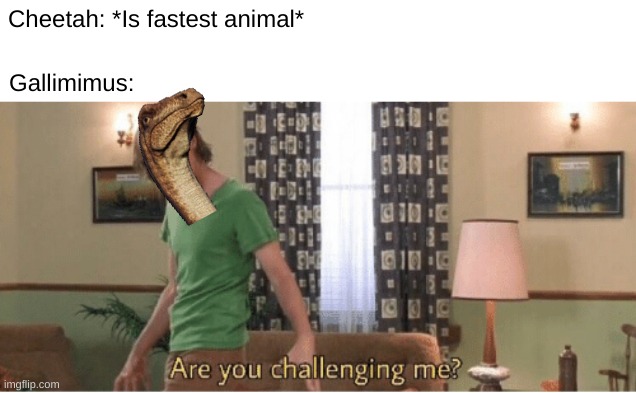 gallimimus | Cheetah: *Is fastest animal*; Gallimimus: | image tagged in are you challenging me | made w/ Imgflip meme maker