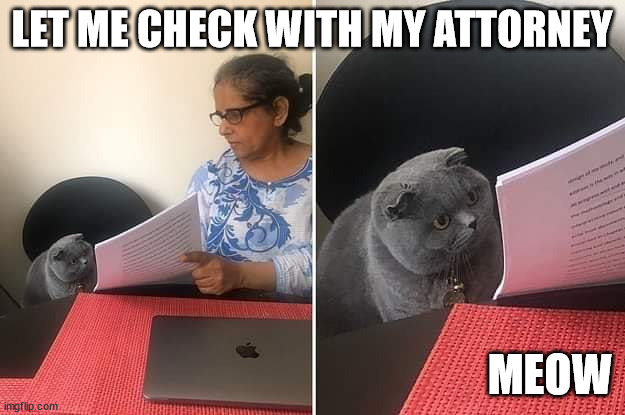 Woman showing paper to cat | LET ME CHECK WITH MY ATTORNEY; MEOW | image tagged in woman showing paper to cat | made w/ Imgflip meme maker
