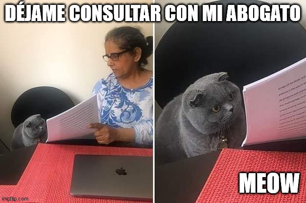 Woman showing paper to cat | DÉJAME CONSULTAR CON MI ABOGATO; MEOW | image tagged in woman showing paper to cat | made w/ Imgflip meme maker