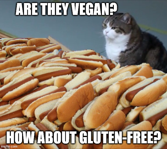 Cat Hot Dogs | ARE THEY VEGAN? HOW ABOUT GLUTEN-FREE? | image tagged in cat hot dogs | made w/ Imgflip meme maker