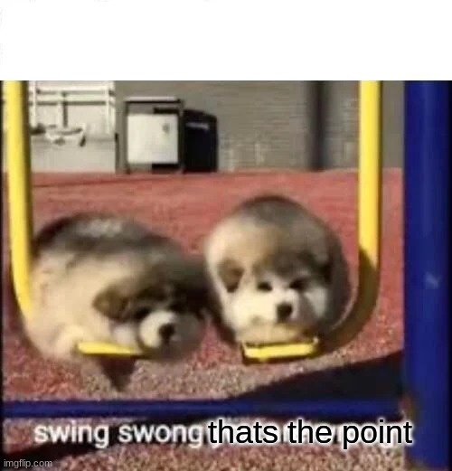 SWING SWONG YOU ARE WRONG | thats the point | image tagged in swing swong you are wrong | made w/ Imgflip meme maker