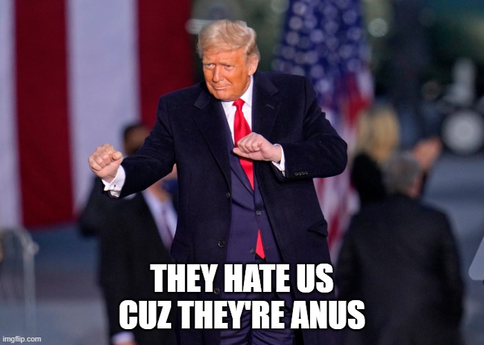 you Hate me cuz you aint me | THEY HATE US
CUZ THEY'RE ANUS | image tagged in maga,donald trump,trump,fjb,jealousy,donald j trump | made w/ Imgflip meme maker