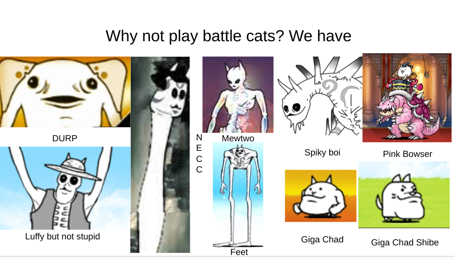 why not play battle cats? Blank Meme Template