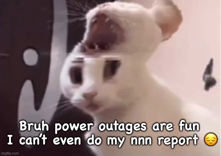 Shocked cat | Bruh power outages are fun 
I can’t even do my nnn report 😔 | image tagged in shocked cat | made w/ Imgflip meme maker