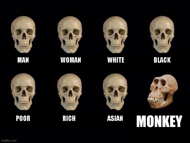 anti meme | MONKEY | image tagged in empty skulls of truth | made w/ Imgflip meme maker
