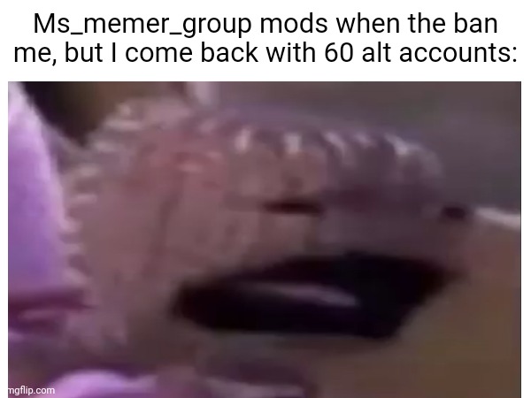 Take that, sweetpotat | Ms_memer_group mods when the ban me, but I come back with 60 alt accounts: | image tagged in wh,ar,idk,what,whar,huh | made w/ Imgflip meme maker