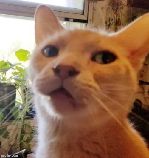 Side Eye Leo | image tagged in side eye leo | made w/ Imgflip meme maker