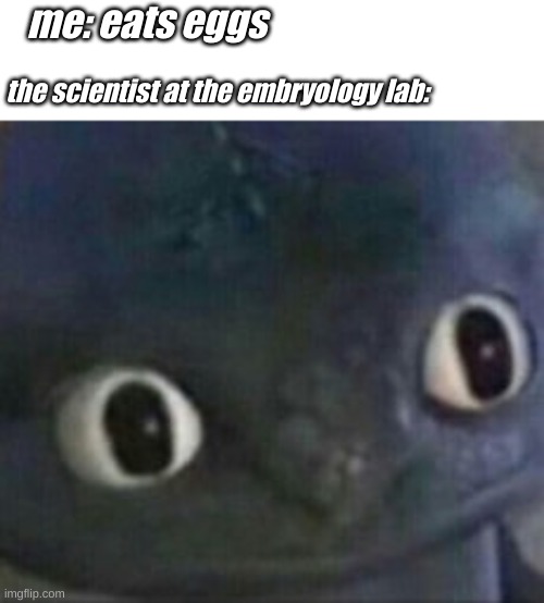 toothless shocked | me: eats eggs; the scientist at the embryology lab: | image tagged in toothless shocked | made w/ Imgflip meme maker