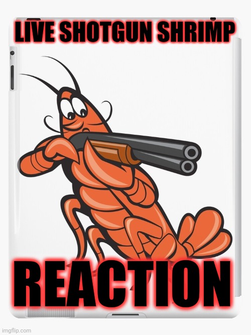 LIVE SHOTGUN SHRIMP REACTION | made w/ Imgflip meme maker