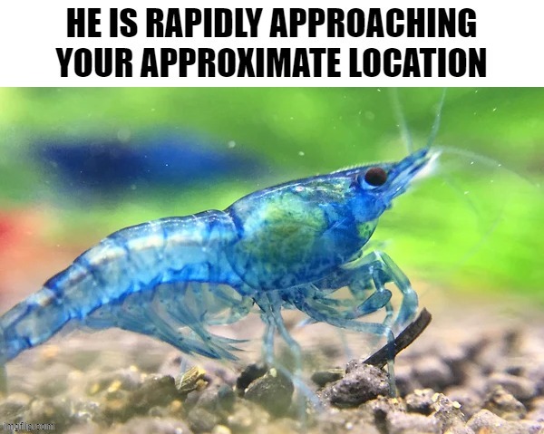 he is approaching | image tagged in he is approaching | made w/ Imgflip meme maker