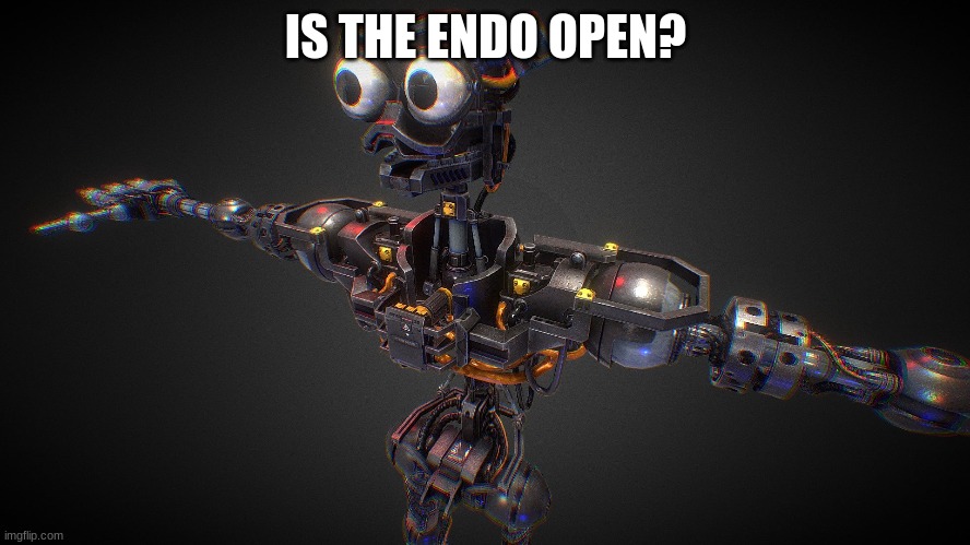 IS THE ENDO OPEN? | made w/ Imgflip meme maker
