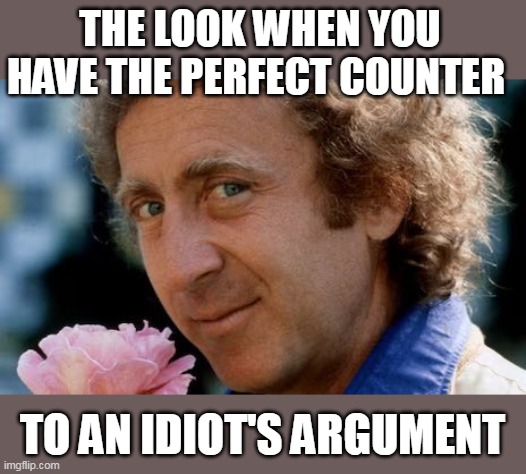The look when you have the perfect counter | THE LOOK WHEN YOU HAVE THE PERFECT COUNTER; TO AN IDIOT'S ARGUMENT | image tagged in gene wilder,funny,idiot,argument,counter | made w/ Imgflip meme maker