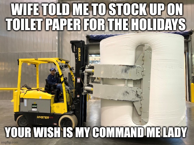 toilet paper meme | WIFE TOLD ME TO STOCK UP ON TOILET PAPER FOR THE HOLIDAYS; YOUR WISH IS MY COMMAND ME LADY | image tagged in toilet paper | made w/ Imgflip meme maker