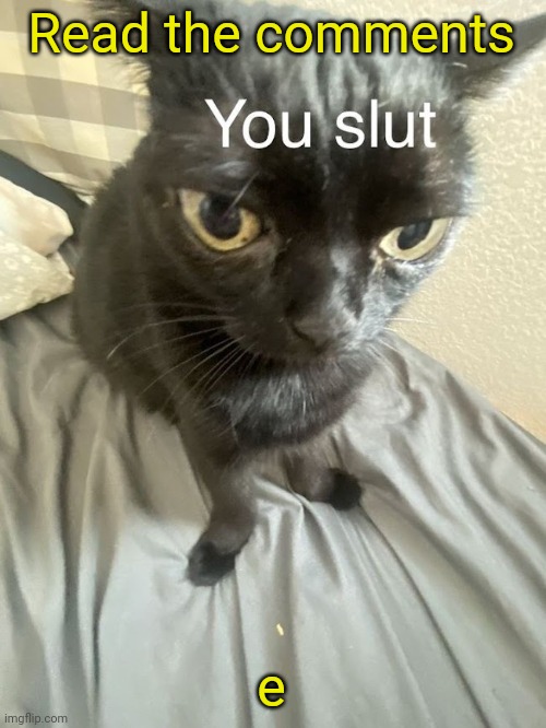 You slut | Read the comments; e | image tagged in you slut | made w/ Imgflip meme maker