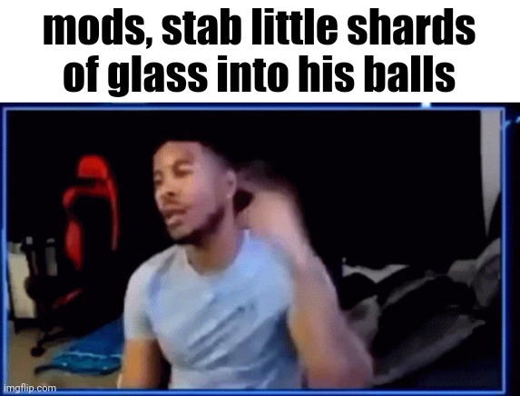 ltg mods | mods, stab little shards of glass into his balls | image tagged in ltg mods | made w/ Imgflip meme maker