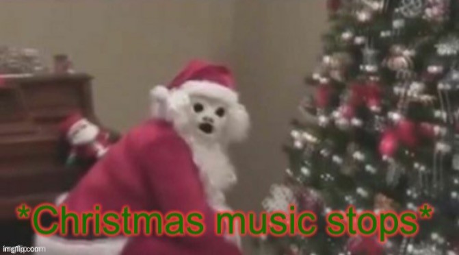 Christmas Music Stops | image tagged in christmas music stops | made w/ Imgflip meme maker