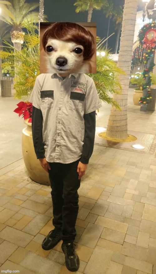 Me at Universal studios in my fnaf security guard outfit | image tagged in reveal,universal studios | made w/ Imgflip meme maker