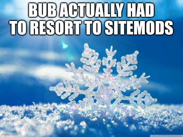 snowflake | BUB ACTUALLY HAD TO RESORT TO SITEMODS | image tagged in snowflake | made w/ Imgflip meme maker