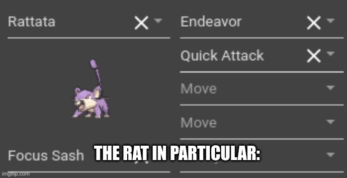 r a t t a t a | THE RAT IN PARTICULAR: | made w/ Imgflip meme maker