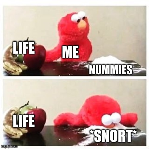 its flour 100% not a lie no cap | LIFE; ME; NUMMIES; LIFE; *SNORT* | image tagged in elmo cocaine | made w/ Imgflip meme maker
