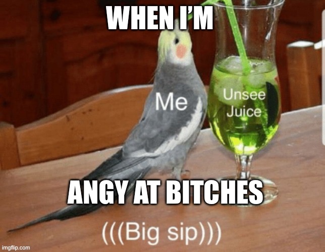 Bitches | WHEN I’M; ANGY AT BITCHES | image tagged in bitches | made w/ Imgflip meme maker